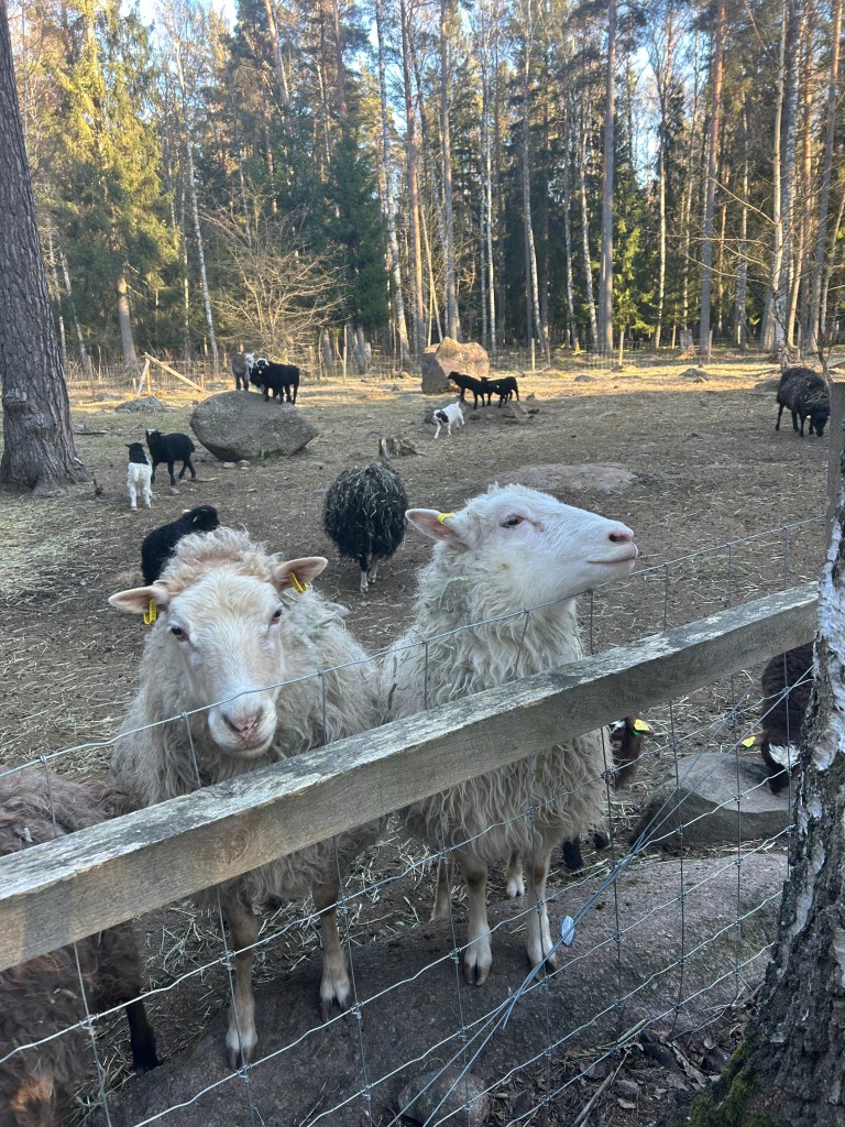 The sights in Linköping
